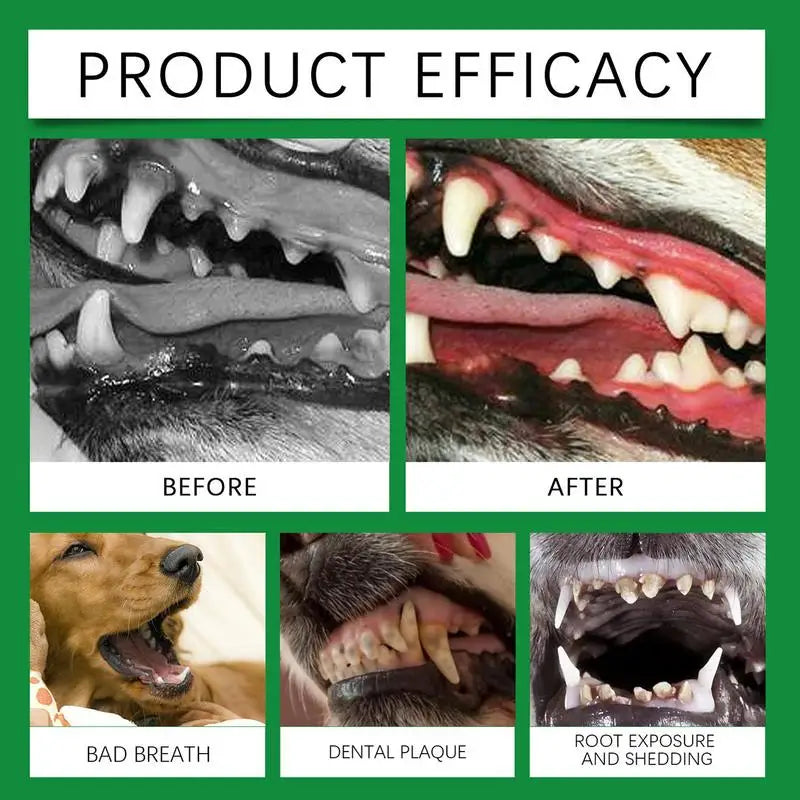 Pet Oral Powder Dog Tooth Powder Cleaning Stain Remover Pet Supplies Oral Care Breath Freshener Tooth Health Comprehensive